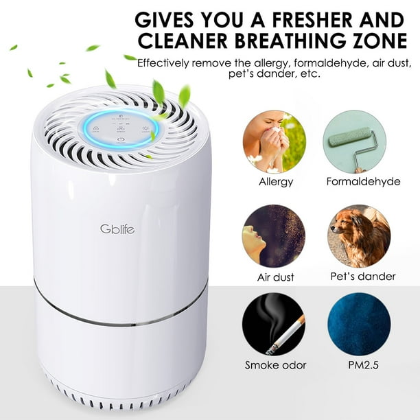 Air Purifier for Home Smokers Allergies , Quiet in Bedroom ...
