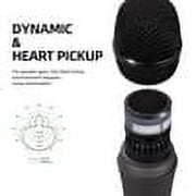 D Debra Audio DY-80 Wired Handheld Dynamic Microphone, Hi-Fi Cardioid Vocal Mic with Mic Clip, Metal Karaoke Mic for Speech, Wedding, Conference, Interview, Stage Performance