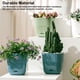 thumbnail image 3 of Naiovety Maceta con múltiples agujeros, bandejas para suculentas, macetas para plantas de interior, drenaje, funda transpirable, decoración de Jardín y Patio Verde METRO, 3 of 6