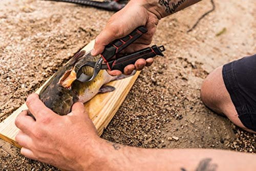 Ugly Tools Fish Skinner