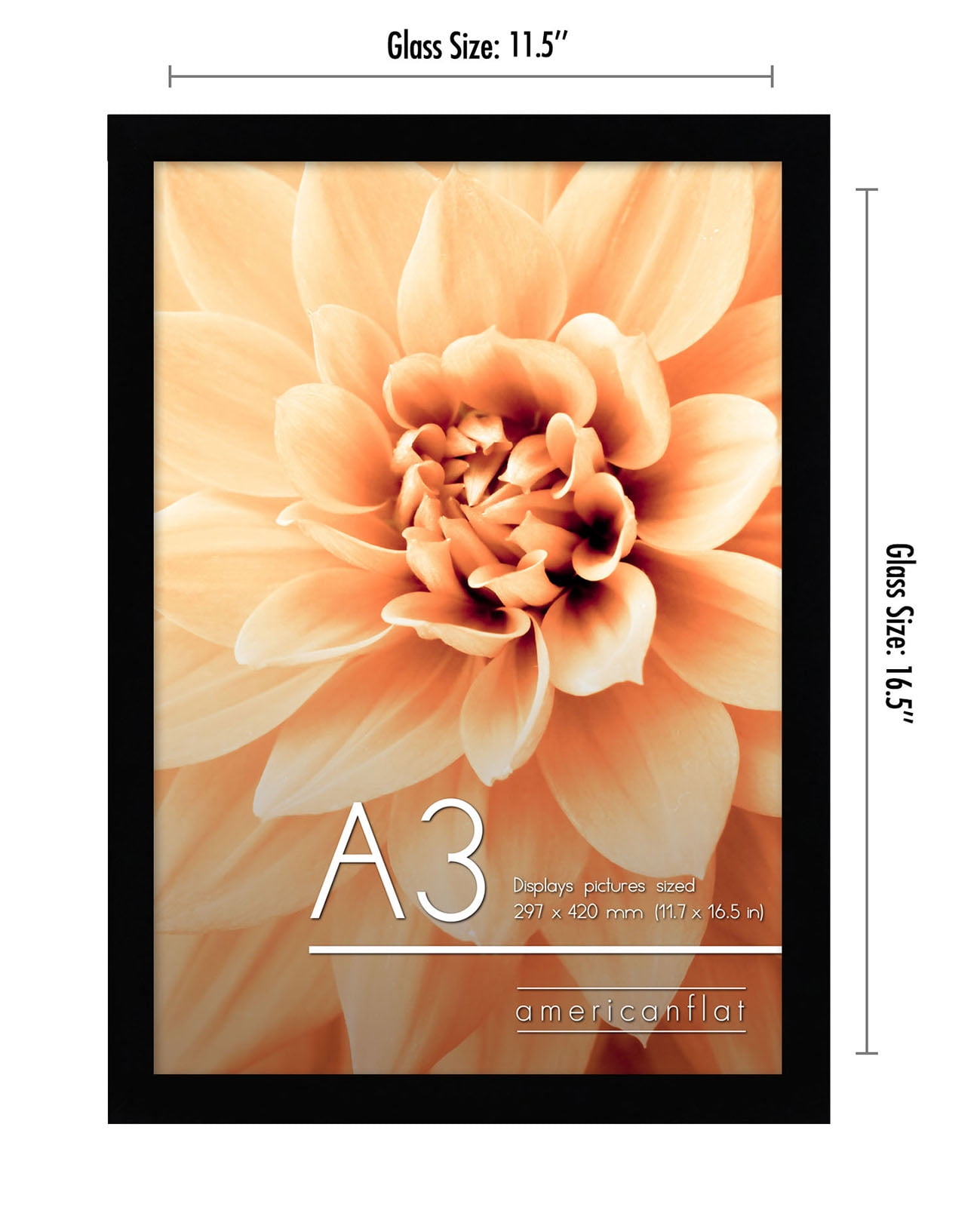 Americanflat 11.7x16.5 Poster Frame with Shatter-Resistant Glass 2 Pack horizontal vertical formats perfect - Black