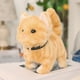 thumbnail image 3 of Gato de peluche eléctrico ZTGD que simula maullidos y menea la cola, lindo gatito de peluche, juguete de compañía para calmar a los demás, juguete eléctrico de peluche para niños y niñas, 3 of 8