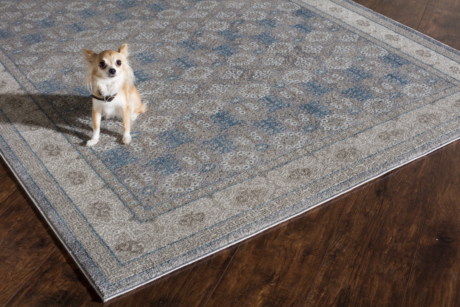 Rugs America Estelle Collection grey Ivory ET200A Transitional Abstract Area Rug 4' x 5'7"