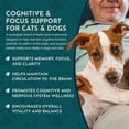 thumbnail image 6 of Animal Essentials Brain Awake Cognitive Support Formula For and Dogs Cats 1 oz., 6 of 9
