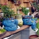 thumbnail image 3 of Lindos Maceteros para Plantas de Interior y Exterior, Maceta Decorativa Pequeña para Suculentas, Macetero de Cactus de Resina,B, 3 of 5