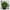 Green, variant on Nicoxijia Artificial Boston Fern Plant in Pot