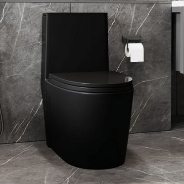 15 5/8 Inch 1.1/1.6 GPF Dual Flush 1-Piece Elongated Toilet with Soft-Close Seat - Matte Black 23T01-MB-1