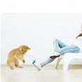 thumbnail image 3 of Funny Cat Stick Plastic Funny Cat Toy Collar Feather Spring Funny Stick Pet Funny Toyblue, 3 of 5