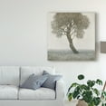 thumbnail image 3 of Trademark Fine Art 'White Blossom Tree' Canvas Art by Tim OToole, 3 of 4
