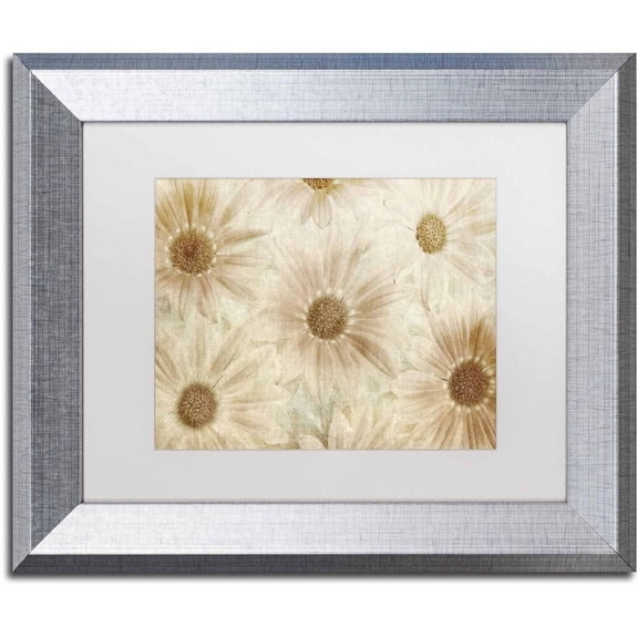 Trademark Fine Art 'Vintage Daisies' Canvas Art by Cora Niele, White Matte, Silver Frame