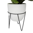 thumbnail image 4 of DecMode 19" Artificial Pilea Plant in Realistic Leaves and Metal Stand and White Pot, 4 of 9