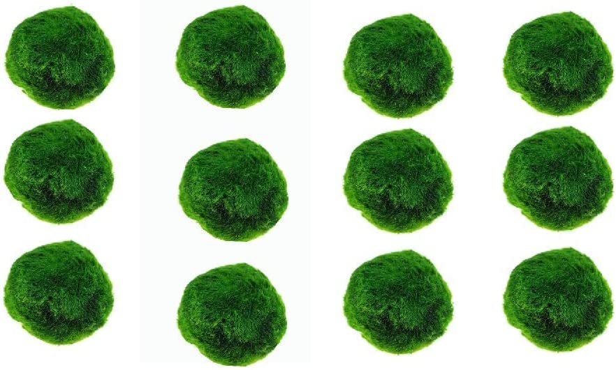12pcs Moss Ball Moss Ball Decorative Moss Balls for Fish Tank Water