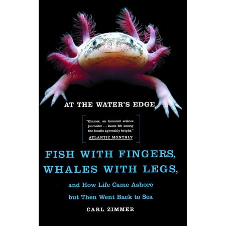 At the Water's Edge : Fish with Fingers, Whales with Legs, and How Life Came Ashore but Then Went Back to
