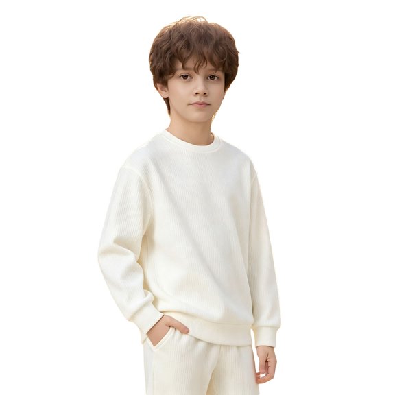 SJLDQY Boys' Sweatshirts Casual Long Sleeve Crewneck Pullover Tops Fall Winter Outfits Solid Color Sweatshirt