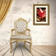 thumbnail image 3 of Millet, Karyn 11x14 Gold Ornate Wood Framed with Double Matting Museum Art Print Titled - Red Ti Leaves, 3 of 4