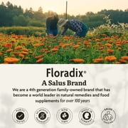 Floradix Iron Tablets - Iron Supplement with B Vitamins, Folic Acid, Vitamin C & More - Energy Support - Vegetarian & Gluten-Free - 80 Tablets (80 Servings)