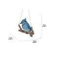 thumbnail image 3 of BLUE JAY Suspendu sur une Branche, 3 of 5