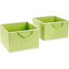 Seed Sprout - Set of 2 Large Canvas Storage Box, Green