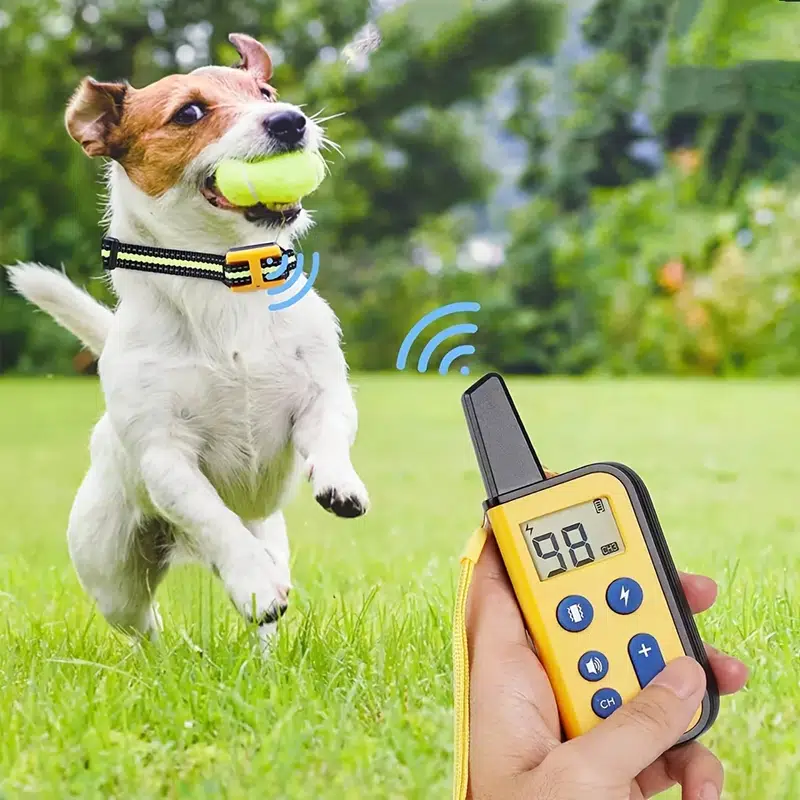 Remote Control Dog Leash