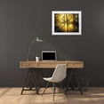 thumbnail image 3 of Anonymous 18x15 White Modern Wood Framed Museum Art Print Titled - Light Through the Trees I, Color, 3 of 4