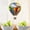C, variant on Sun Catchers Indoor Window 2D Acrylic Hot Air Balloon Decor - Wall Art Ornaments for Mom Women Living Room Window Panels Garden Outdoor Decoration