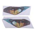 thumbnail image 4 of Accesorios de motocicleta de protección de s para delanteros ojos de Dragon Cola Pegatina de faro de motocicleta, 4 of 8