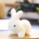 thumbnail image 1 of Precioso muñeco de peluche de conejo y oso, conejo, llavero, colgante de bolsa, juguetes de peluche, regalo de cumpleaños para bebés y niños, conejo de juguete, anillo, 1 of 5