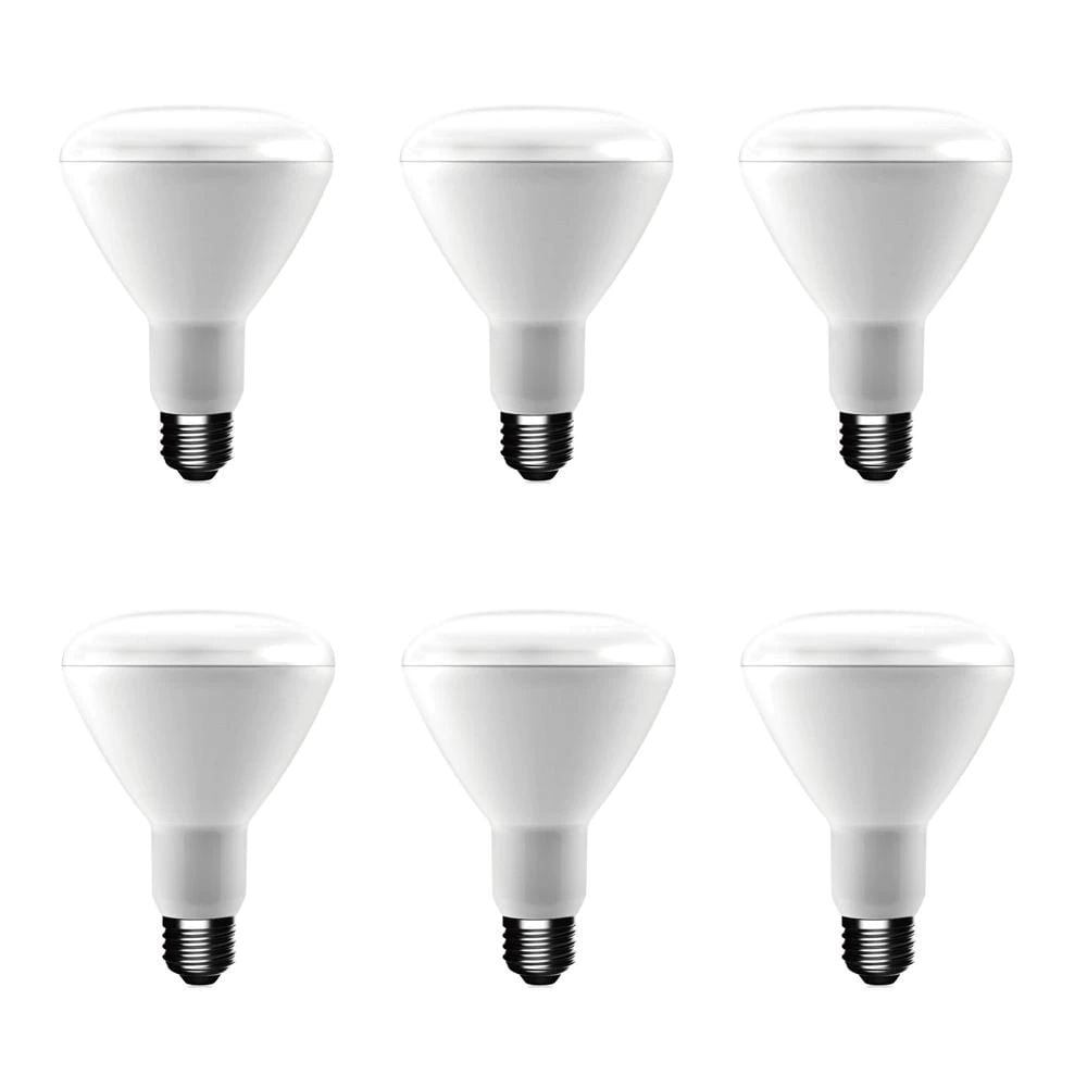 50-Watt Eq BR20 Dimmable CEC LED Light Bulb Soft White 6-Pack by EcoSmart 
