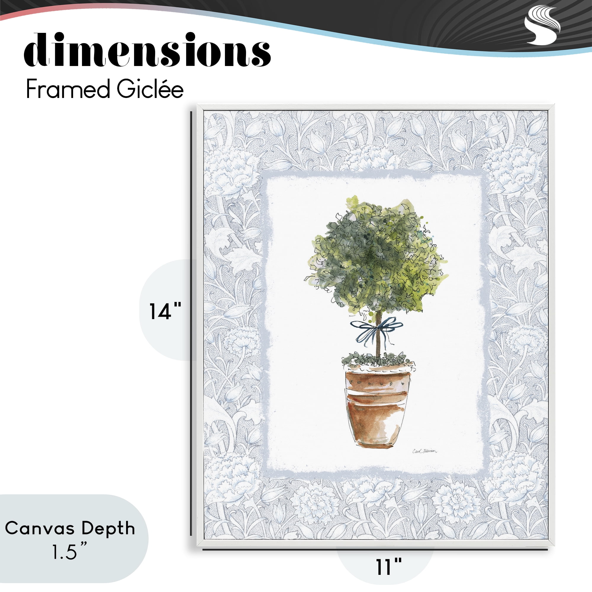 Stupell Industries Potted Topiary in Terracotta White Framed Giclee Art, design by Carol Robinson