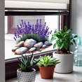 thumbnail image 4 of Electrostatic Window Stickers Purple Decorative Cling Film For Glass And Tile Surfaces 10 in x 10 in, 4 of 6