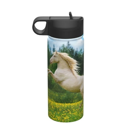 

Matuu Horse Rearing Up In The Field for 18oz Durable Thermal Cups Keep Drinks Cold & Hot Insulated Coffee Mug with Lid (With Straw)
