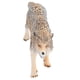 thumbnail image 2 of Modelo de lobo, modelo de animal realista para regalo de cumpleaos para accesorios de fotografía para nios para fiesta de Navidad Unbranded 2013210113711, 2 of 8