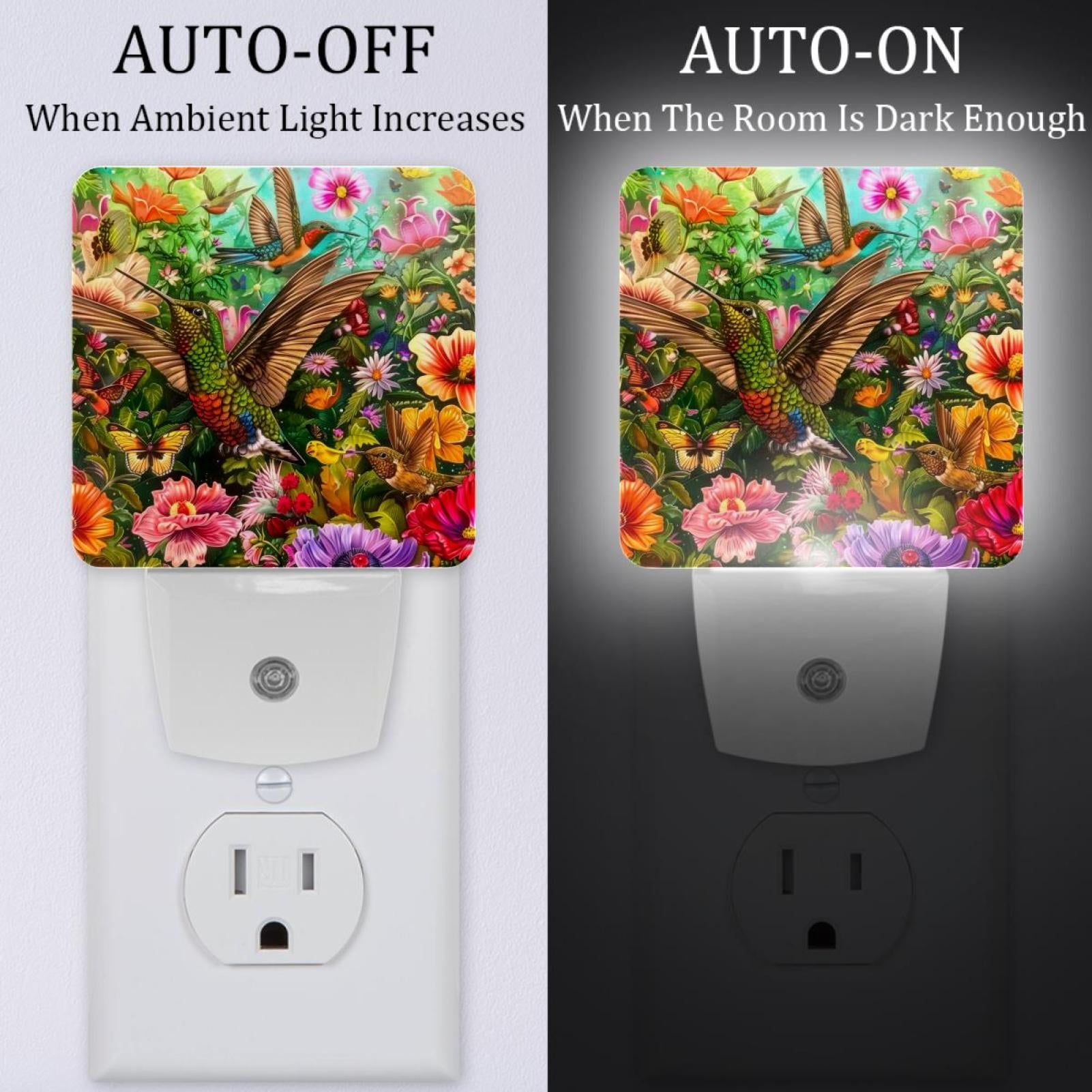 PhooArto Hummingbird Flower Painting Plug in LED Night Light Auto Sensor Dusk to Dawn Decorative Night for Bedroom, Bathroom, Kitchen, Hallway, Stairs, Baby's Room, Energy Saving