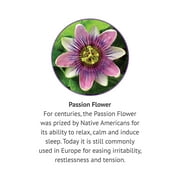 Botanic Choice Passion Flower Herb Liquid Extract , 1 oz