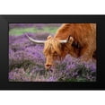 thumbnail image 2 of Parker, Jacky 24x17 Black Modern Framed Museum Art Print Titled - Highland Graze, 2 of 5
