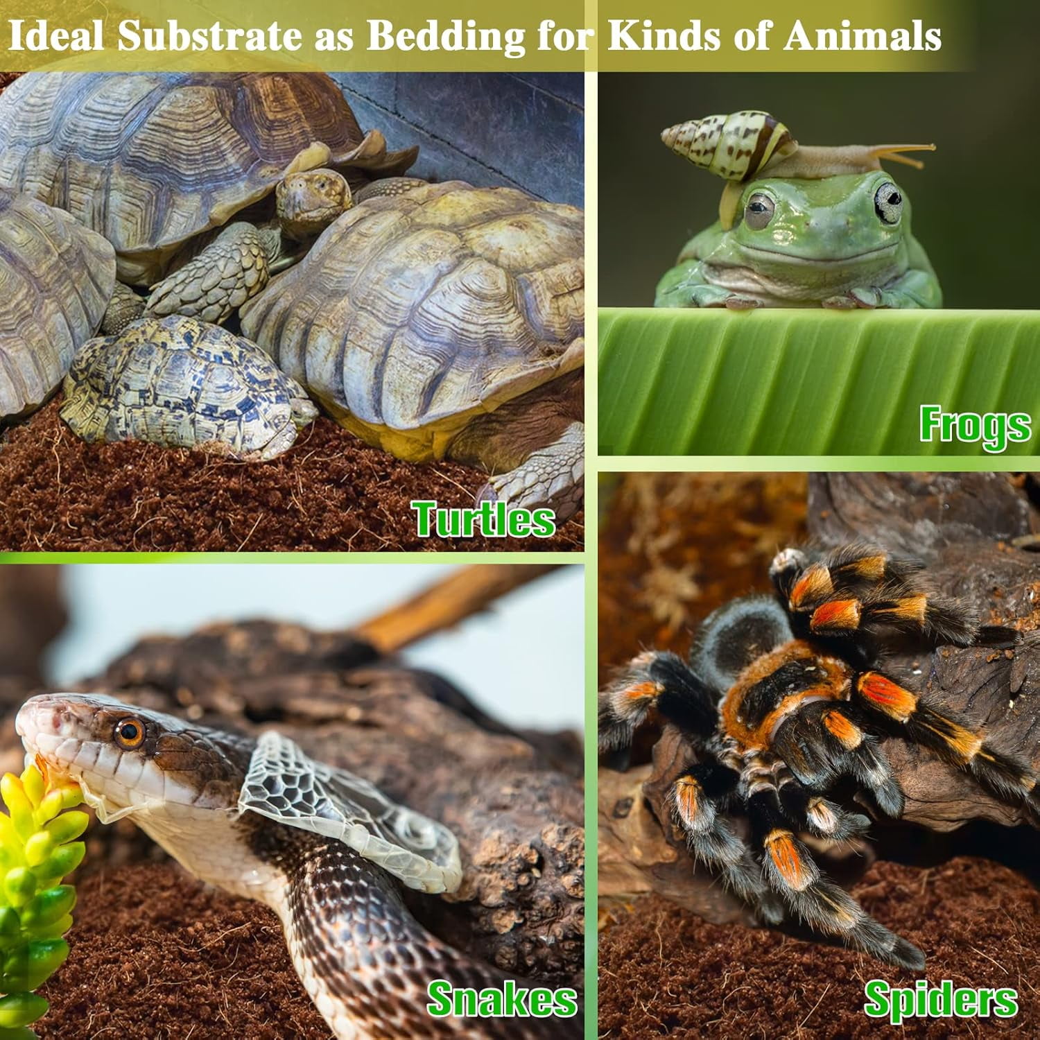 Coconut Fiber Substrate, Organic Coconut Husk Coco Coir Brick Terrarium Bedding for Reptiles