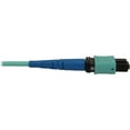 thumbnail image 4 of Tripp Lite N846B-25M-24-P Fiber Optic Network Cable, Aqua Jacket, Connector, Black Connector, Blue Connector, 4 of 4