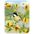 thumbnail image 1 of Carolines Treasures ASA2114LCB Coal Tit Glass Cutting Board- Large, 1 of 1