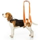 thumbnail image 3 of Arnés de elevación para perros, soporte trasero para mascotas, cabestrillo aprobado por veterinarios para personas mayores con poca estabilidad, pierna trasera, cadera, discapacitados, lesiones e, 3 of 5
