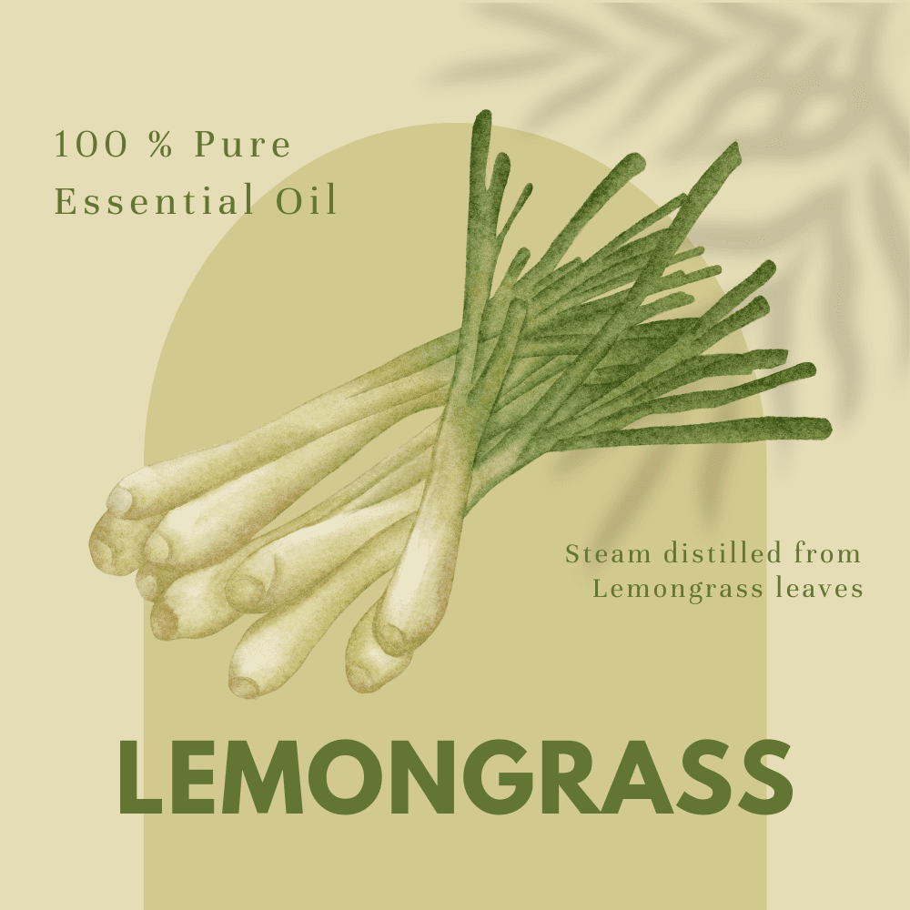 Lemongrass Essential Oil - 8 fl oz (237 ml) Glass Bottle w/ Cap - 100% Pure Essential Oil by GreenHealth