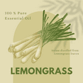 thumbnail image 4 of Lemongrass Essential Oil - 4 fl oz (118 ml) Glass Bottle w/ Cap - 100% Pure Essential Oil by GreenHealth, 4 of 8