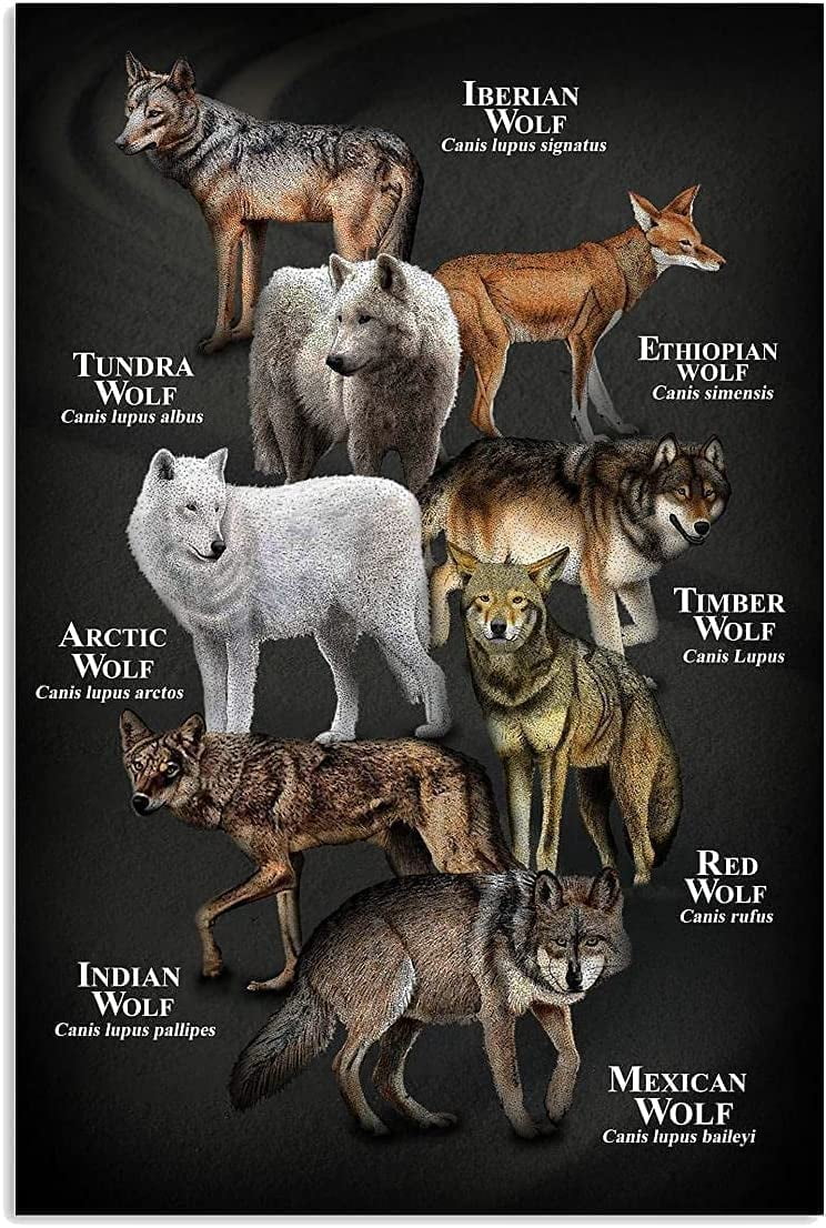 Vintage Wolves Knowledge Metal Tin Sign, 12x16 Inches, Wolf Breeds Wall