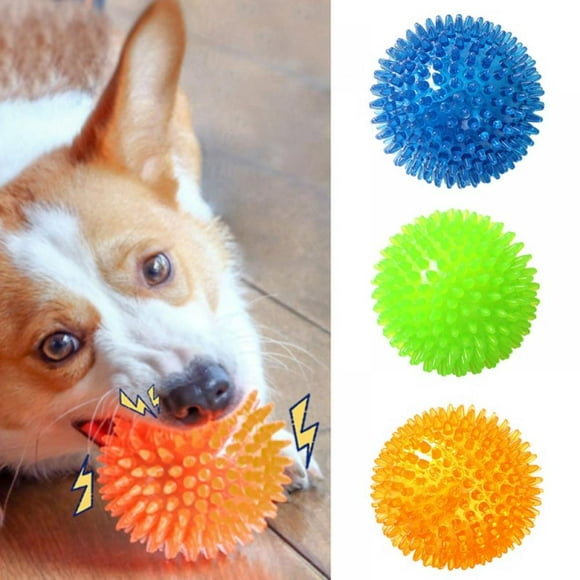 Spiky Dog Ball