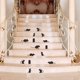 thumbnail image 1 of Juego de 2 calcomanías de escalera de ratón de dibujos animados,calcomanía de escalera familiar, decoración de pared, pegatina creativa, pegatina de escalera de construcción, 1 of 1
