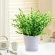 thumbnail image 5 of Decoración del hogar, decoración de habitaciones, decoración de paredes, plantas verdes artificiales, simulación de macetas, decoración del vestíbulo del hotel, oficina en casa, plantas verdes, decora, 5 of 6