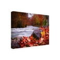 thumbnail image 2 of Trademark Fine Art 'River Rush' Canvas Art by Dan Ballard, 2 of 3