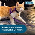 thumbnail image 4 of Vet-Recommended 8-Month FleaTick Prevention Collar for Cats, 4 of 5