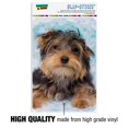 thumbnail image 3 of Yorkie Yorkshire Terrier Dog Resting With Blue Hat Home Business Office Sign, 3 of 7
