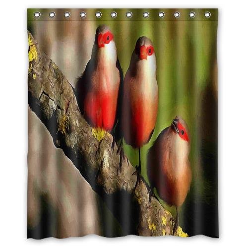 Cortina de ducha ABPHQTO Pájaros de pie en el tronco Impermeable 90x180 cm