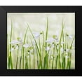 thumbnail image 2 of Williams, Sharon 17x15 Black Modern Framed Museum Art Print Titled - Meadow Of Snowdrops, 2 of 5